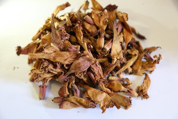 对霉菌最强效的中药