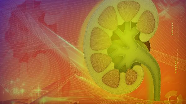 肾病综合征的病因病机以什么为本