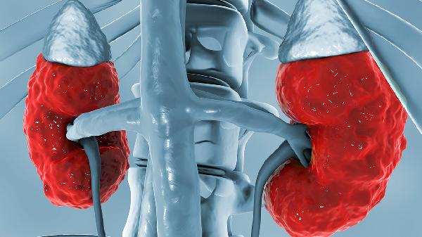 肾小球肾炎是由什么引起的感染病毒