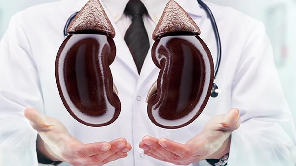 肾囊肿到底能不能吃蛋白质食物和水果