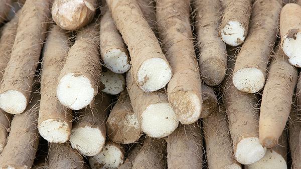 山药为什么煮出来发黑