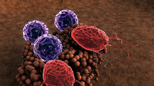 鼻病毒属于合胞病毒吗