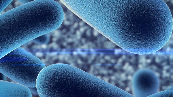 鼻病毒感染有抹的药膏吗