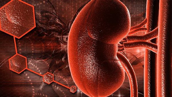 肾性高血压绝大多数是什么型肾病