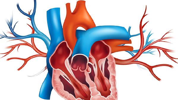 心脏血管供血不足怎么办