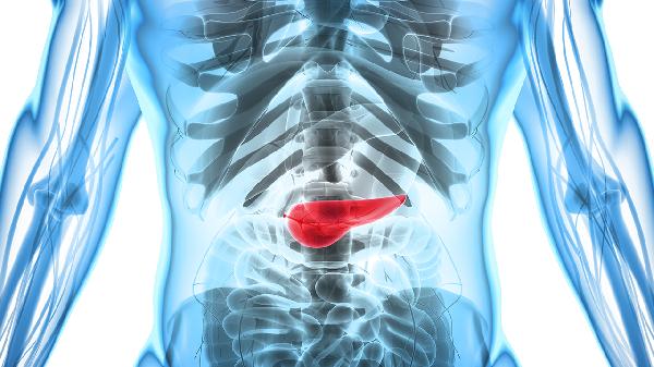 胰腺炎可以吃桑树根吗