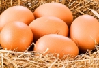 夫妻二人每天一个鸡蛋？双双查出症？医生：吃鸡蛋或要注意5点，关键细节很多人没放在心上