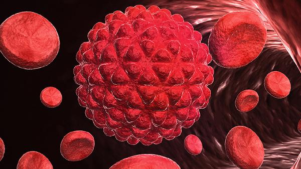 吃头孢会感染鼻病毒吗