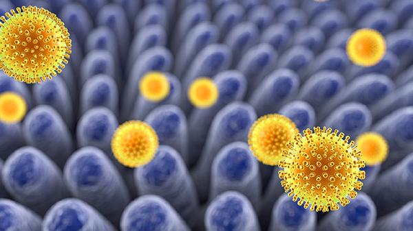 腺病毒鼻病毒会传染吗