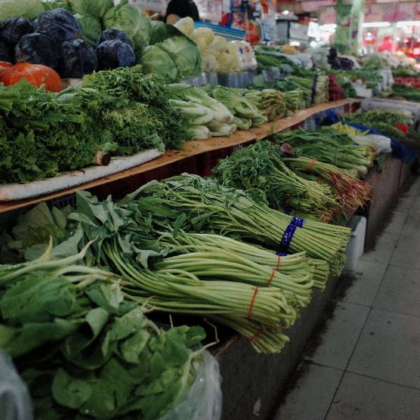 含碱性的蔬菜有哪些