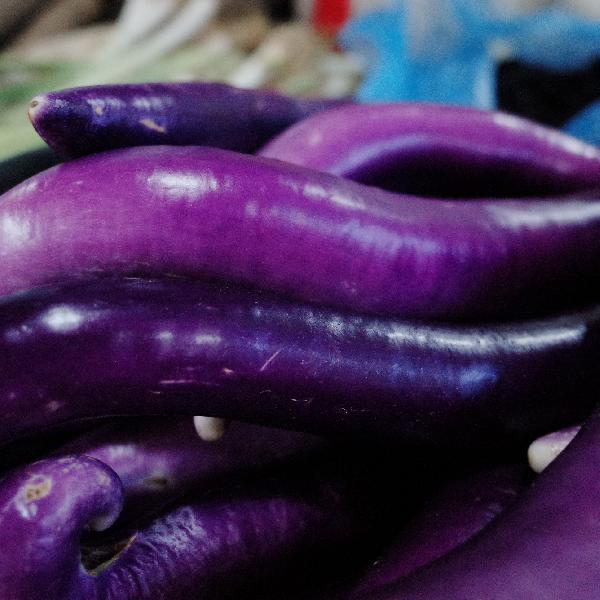 血脂高的人吃什么蔬菜可以降血脂