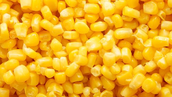 玉米施肥的最佳时期土壤是什么