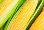 甜玉米要煮多久会熟