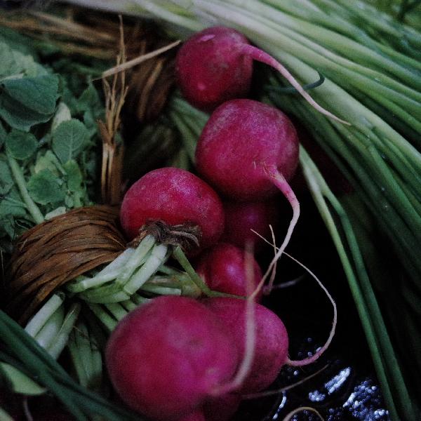 萝卜对身体有什么影响！