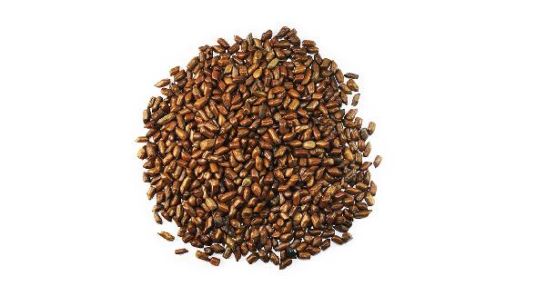 决明子多少钱一斤