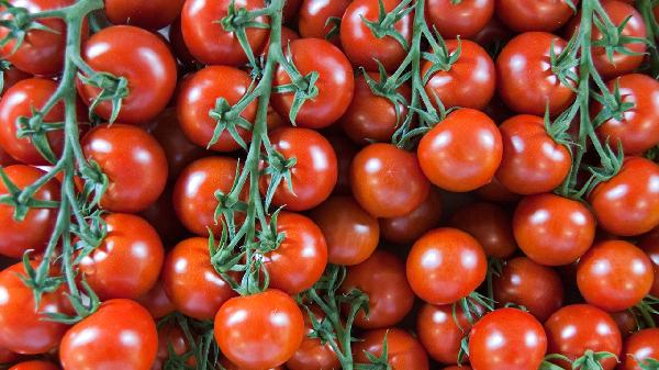 西红柿怎么把皮去掉