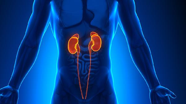 前列腺癌发现就是晚期？医生提醒：男人出现2种症状，千万别大意