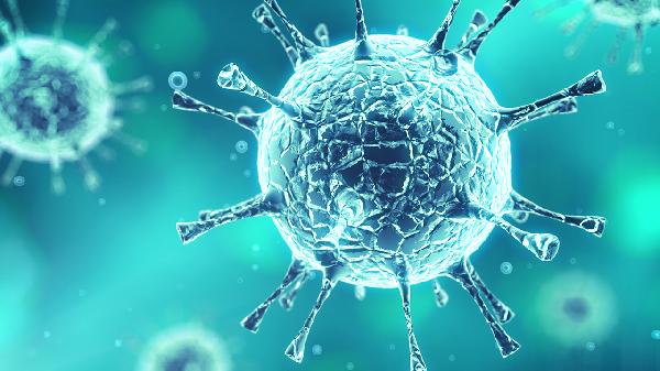 鼻病毒感染能用阿奇霉素吗