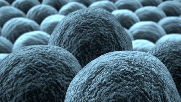 体检不做这5个检查，得了癌症都不知道！这5个部位再贵都要查