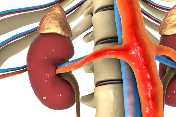 慢性肾脏有结石什么症状？慢性病程的临床表现