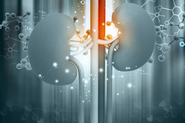 肾结石常见吗？疾病流行病学与发病率