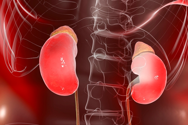 得结石病的症状有什么？结石病的常见症状