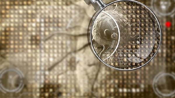 感染鼻病毒可以导致肺部实变吗