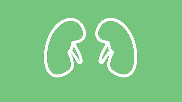 肺炎支原体是什么原因引起的