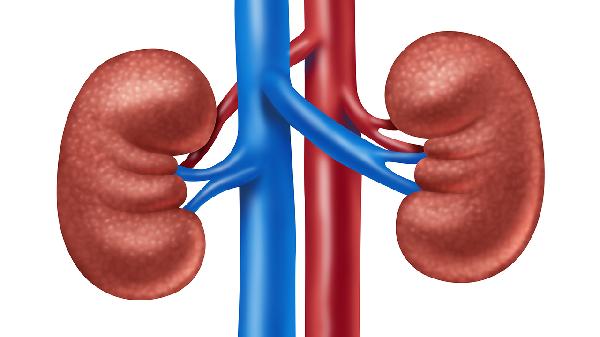 肾衰竭吃什么零食食物好