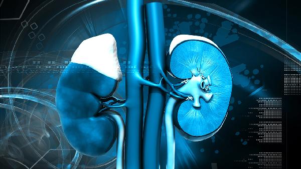 肾病综合征患者吃什么油比较好