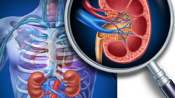 肾衰竭吃什么零食合适