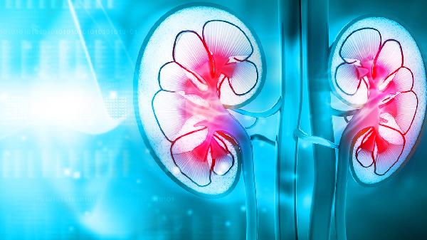 肾病综合征的原因有哪些呢