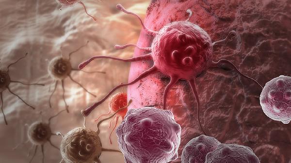 鼻病毒引起的感冒传染吗