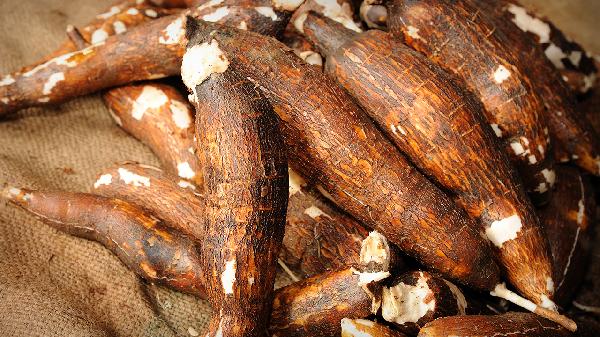 木薯粉小朋友能吃吗