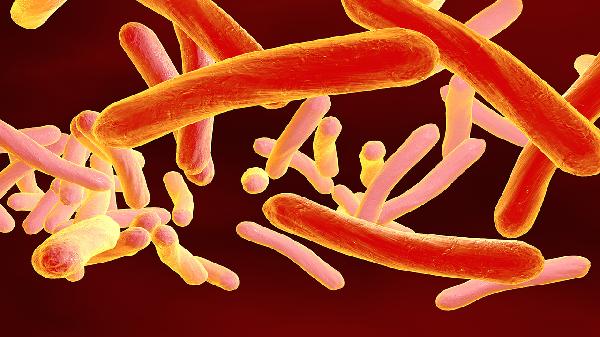 鼻病毒感染会引起喘息跟尘螨过敏有关吗