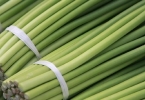 蒜苔怎么存放多长时间