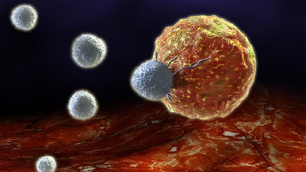 典型急性细菌性痢疾的粪便呈