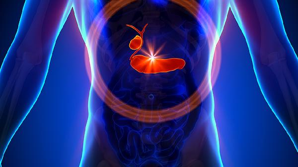 高胆固醇血症该吃什么