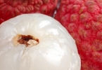 原来爱吃荔枝的人，一直都在吃“荔枝虫子”？这到底是什么东西