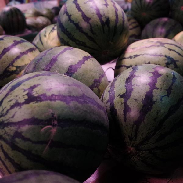 吃一天的西瓜会发胖吗