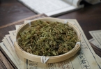伸筋草可以长期喝吗 持续使用3个月的安全性评估