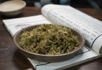 伸筋草有什么功效与作用 中西医结合视角解读
