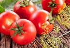 一个西红柿的热量是多少大卡