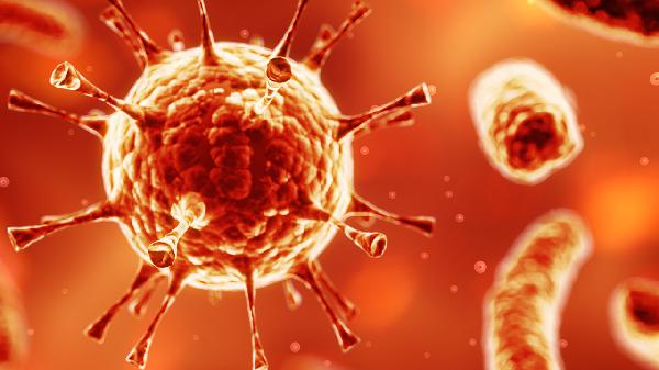 鼻病毒感染能够自愈吗