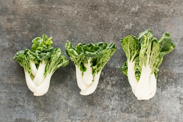 荆芥在广东叫什么 岭南地区对这种香料的特别称谓