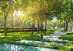 立夏的由来，老祖宗留下的养生智慧你知道多少