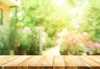 立夏是哪一天，牢记这个日子养心从不嫌早