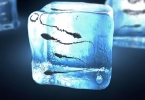 精子浓度的正常值是多少