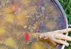 烧汤时加入盐来调味最终盐不见了它发生了什么变化