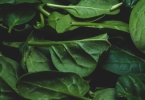 荆芥可以冷冻吗 三种保存方法的营养流失测试